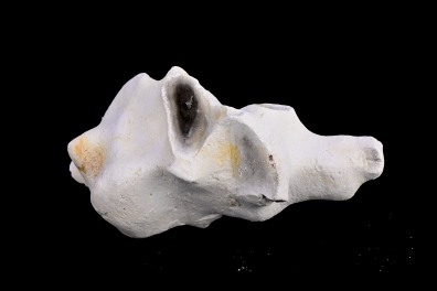 Silex - rognon de silex dans de la craie - échantillon (Etretat, Normandie, France)